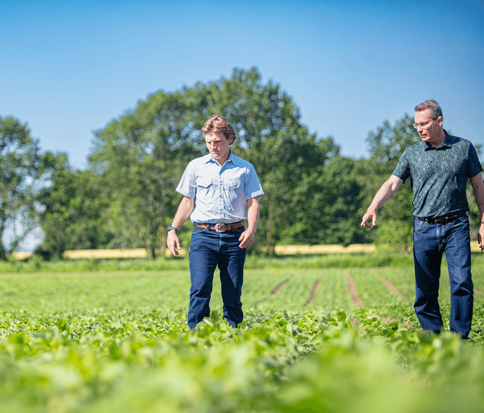 a student and faculty member walking through a crop field