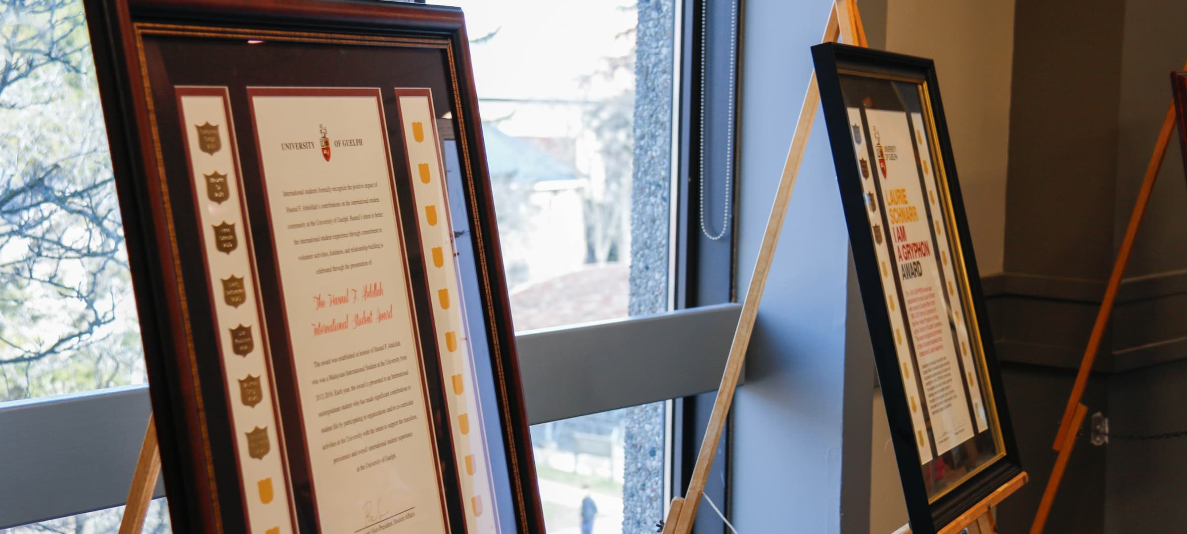 Student Experience Awards