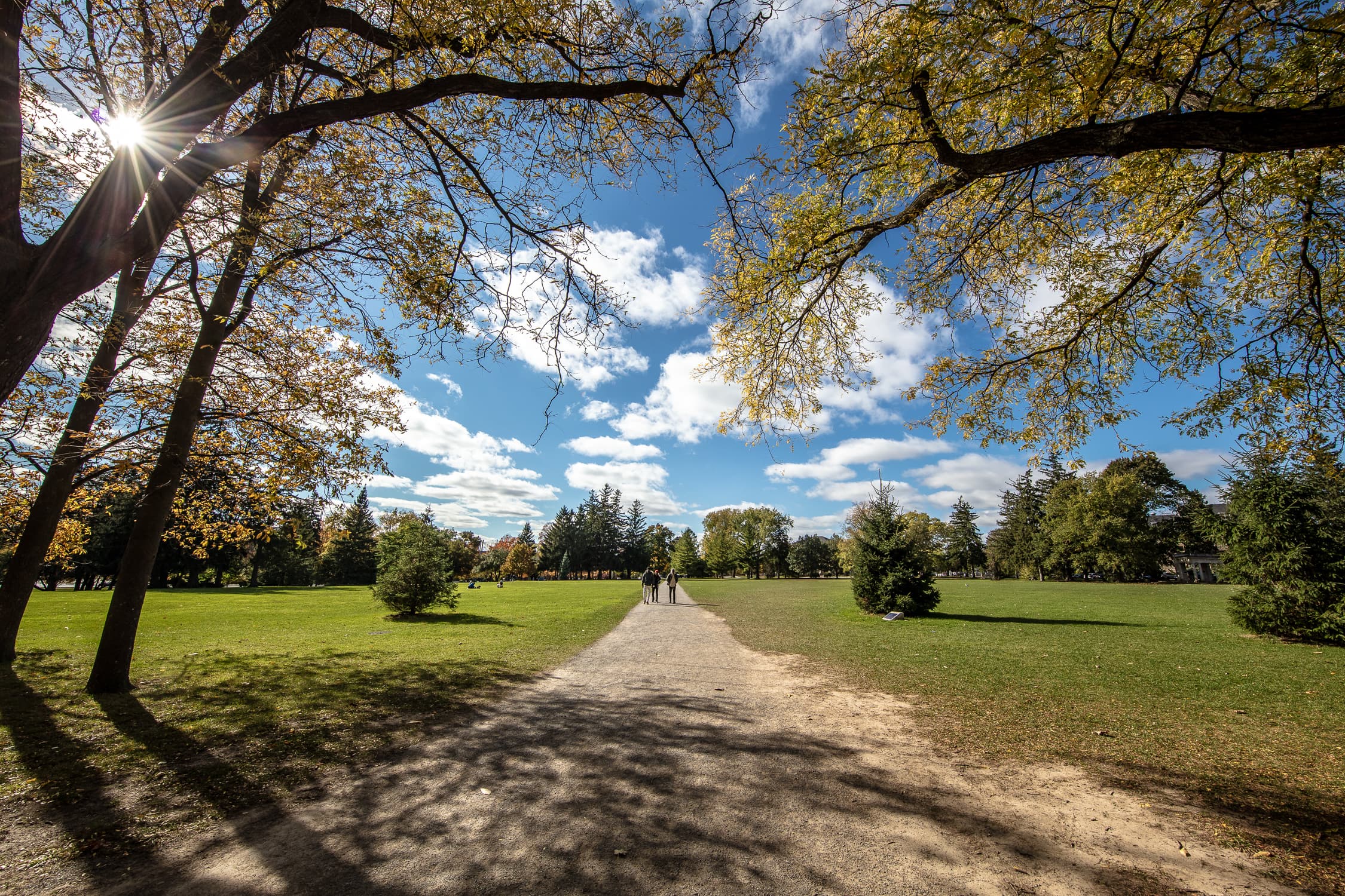 Johnston Green