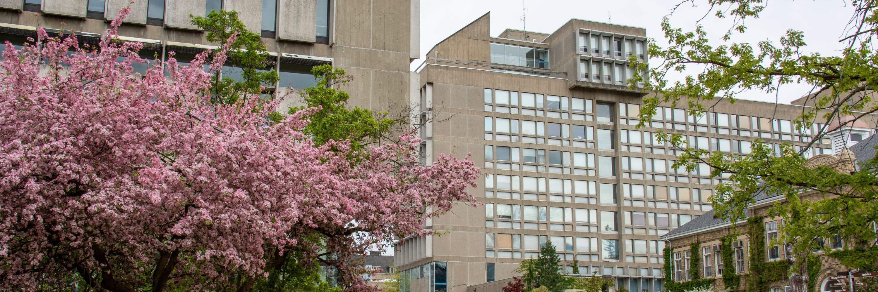 Photo of campus