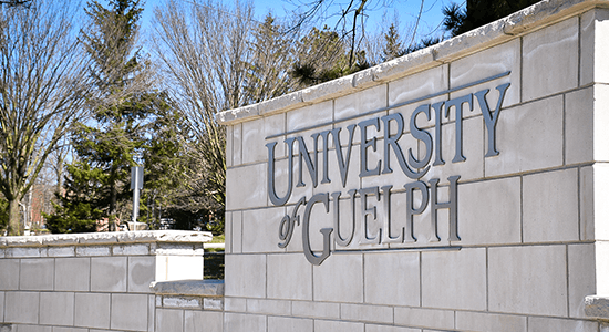 Outdoor brick wall with the University of Guelph logo