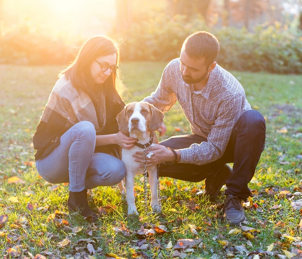 Couple with Dog in a park