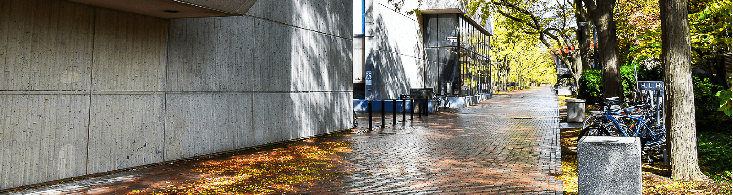 The MacNaughton Building at the University of Guelph during fall time