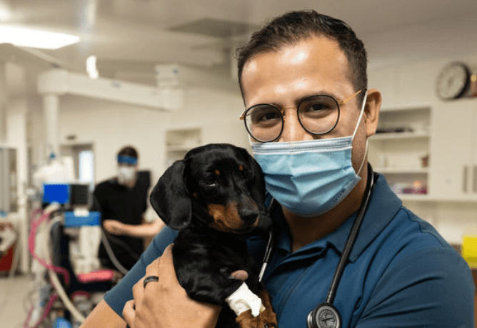 man and dog in hospital